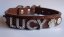 Personalised Dog Collar with Diamante Letters